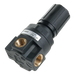 Pneumax 17109B.B Size 1 Panel Mount Regulator 1/4 0-4 Bar - pneumaticsystems