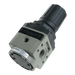 Pneumax 17202A.A Size 2 Regulator 1/4 0-2 Bar" - pneumaticsystems