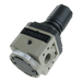 Pneumax 17302B.C.SM Size 3 Regulator 1/2 0-8 Bar I/R" - pneumaticsystems