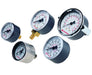 18-015-905, Gauge, 1/4" NPT thread, 0 to 25 bar