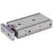 CXSM25-10, CXS, CXSM, Dual Piston Rods, Slide Bearing