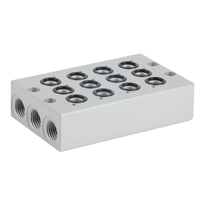 Pneumax 808.06 1/4 6 Position Manifold (808 Valves)" - pneumaticsystems