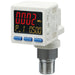 ISE20C-Y-F02-W, ISE20, ISE20C(H), High-Precision, Digital Pressure Switch for General Fluids