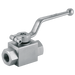 FT Pro - HBBVSS-14 1/4" BSP Parallel Female Valve - pneumaticsystems