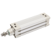 FT Pro - KI-50BX700-S-G 50MM X 700MM Magnetic Double Acting Cyl SS Piston Rod - pneumaticsystems