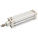 FT Pro - KI-100BX350-S-G 100MM X 350MM Magnetic Double Acting Cyl SS Piston Rod - pneumaticsystems