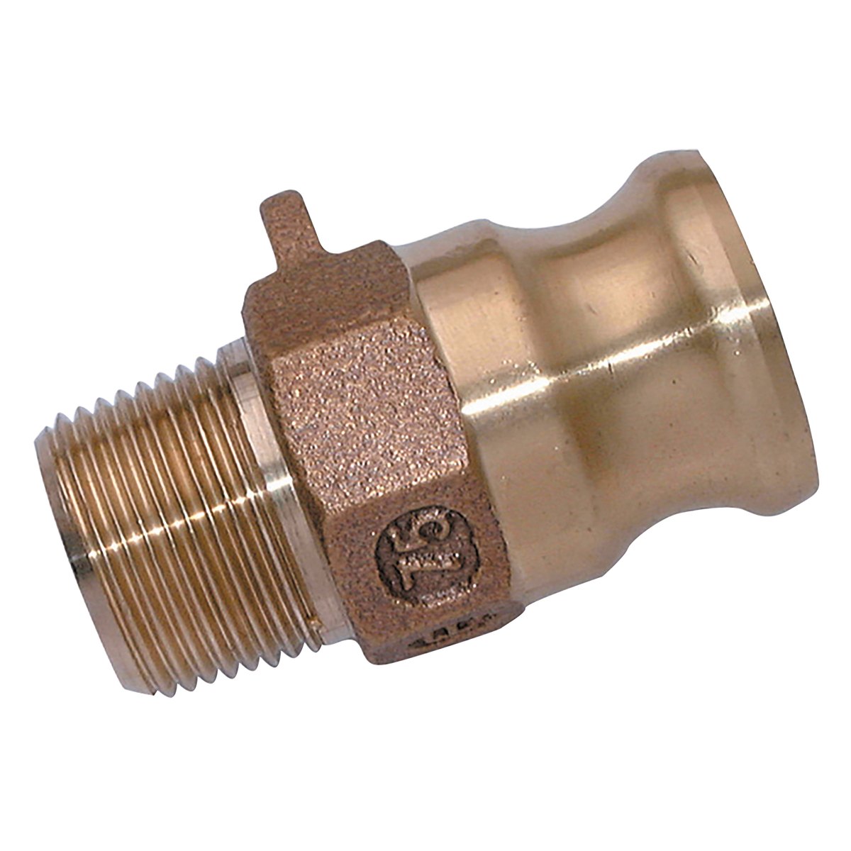 FT Pro - F112-BR-NPT Camlock Part F 1.1/2
