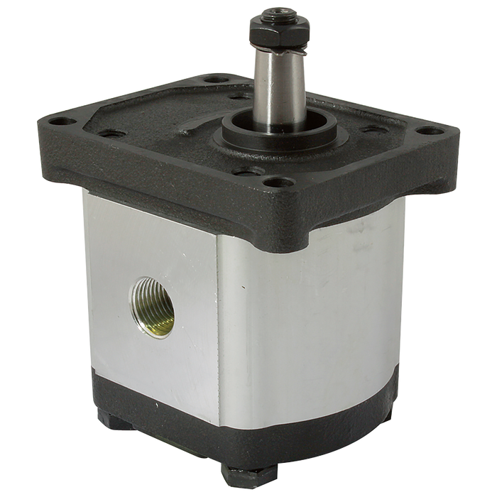 FT Pro - AGP2-C-22 3/4" BSP Parallel Female Group 2 Gear Pump - pneumaticsystems