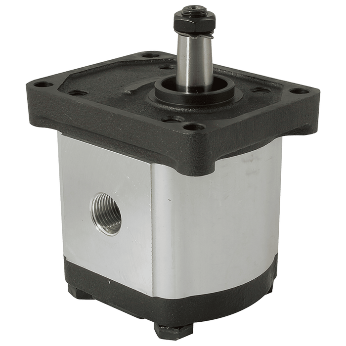FT Pro - AGP2-C-19 3/4" BSP Parallel Female Group 2 Gear Pump - pneumaticsystems
