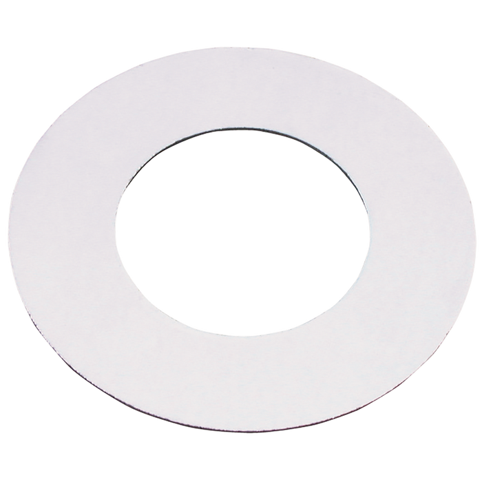 FT Pro - GSPN16-4 4" ID Gasket Seal IBC N34 PN16 - pneumaticsystems