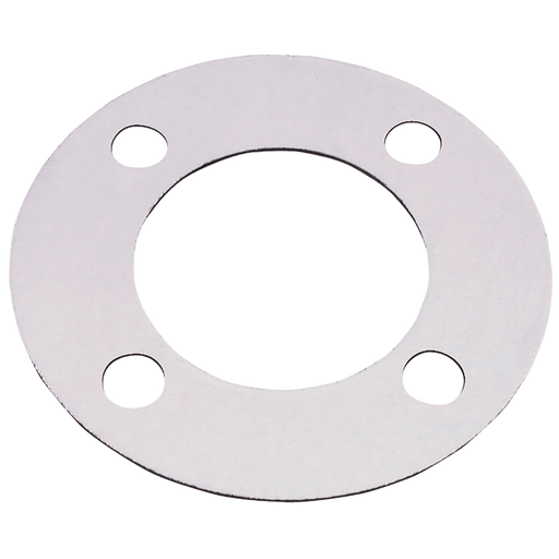 FT Pro - GSFF1-300 1" ID Gasket Seal Full Face 300LB N34 - pneumaticsystems