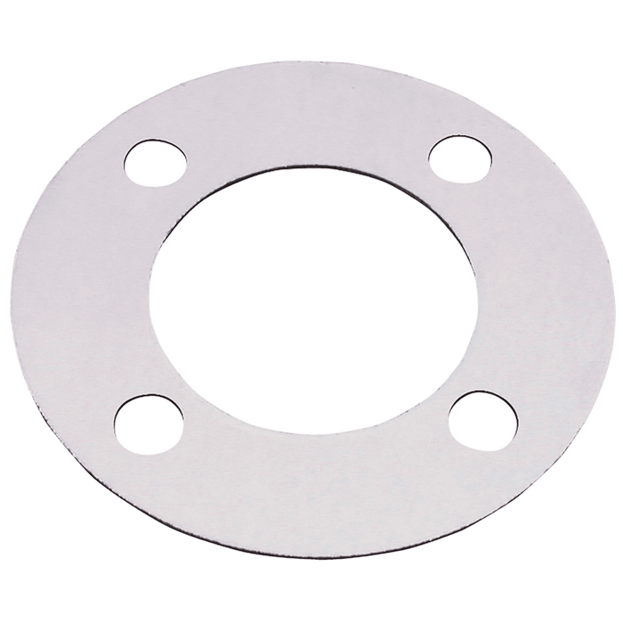 FT Pro - GSFF1-300 1" ID Gasket Seal Full Face 300LB N34 - pneumaticsystems