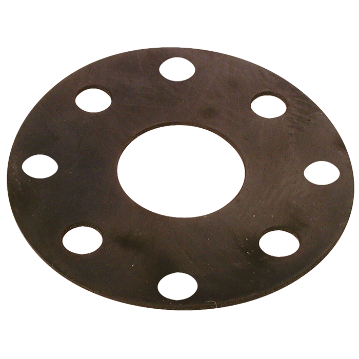 FT Pro - GRNP164 Rubber Gasket NP16 F/Face ID 4" - pneumaticsystems