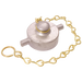 FT Pro - ABCCURT3 3" URT Female Alloy Blank Cap and Chain - pneumaticsystems
