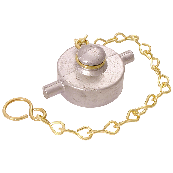 FT Pro - ABCCBSP4 4" BSPP Female Alloy Blank Cap and Chain - pneumaticsystems