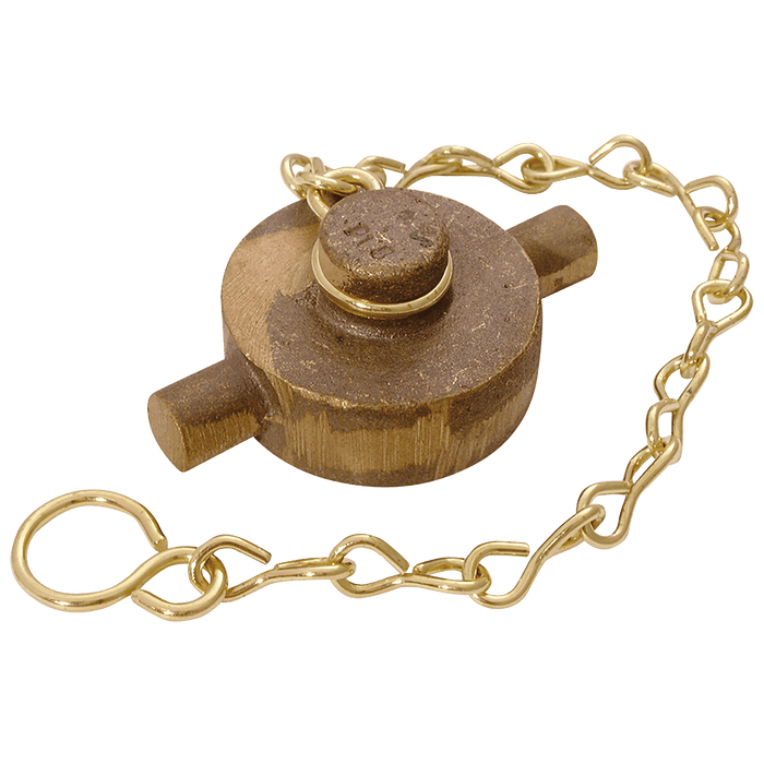 FT Pro - GMBCC2 2" BSPP Gun Metal Blank Cap and Chain - pneumaticsystems