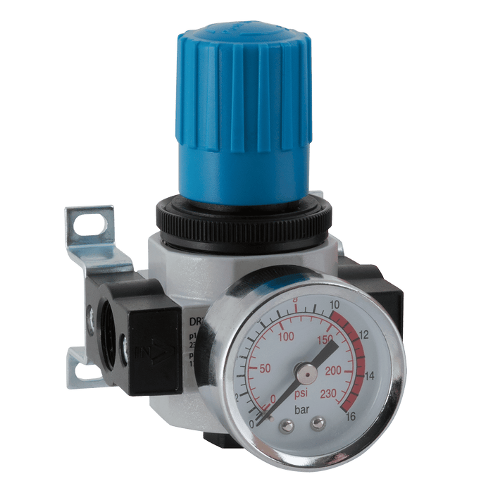FT Pro - DR200-01 1/8" Regulator BSP - pneumaticsystems