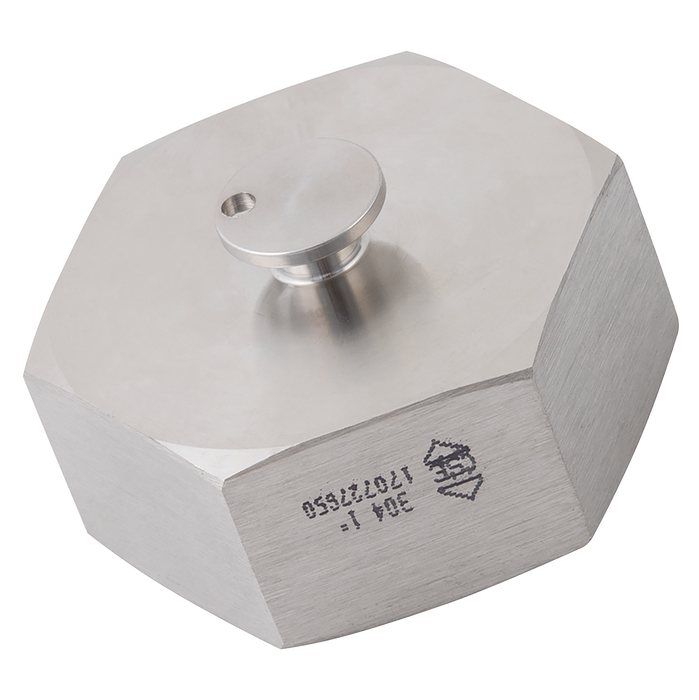 FT Pro - BSRJT-13HBN-1 1" RJT Hex Blanking Nut - pneumaticsystems