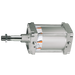 160X300 3/4" Bspp S40 Dble Act Cylinder