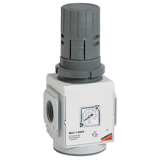 1/2" Regulator Bsp Parallel Female