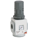 1/2" Regulator Bsp Female