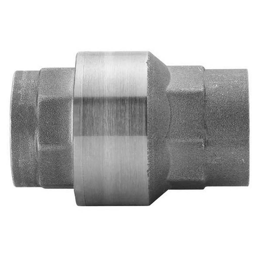 Stainless Steeel Non Return Valve 2 Inch