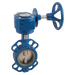 FT Pro - 2014WG 11G 3" Wafer B/Fly Valve CI/Ss/SIL Gear - pneumaticsystems
