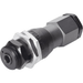 Regulator Pressure Switch