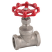 FT Pro - 2028-2 2" BSP SS Globe Valve 200 PSI - pneumaticsystems