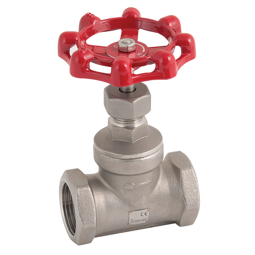 FT Pro - 2028-114 1.1/4" BSP SS Globe Valve 200 PSI - pneumaticsystems