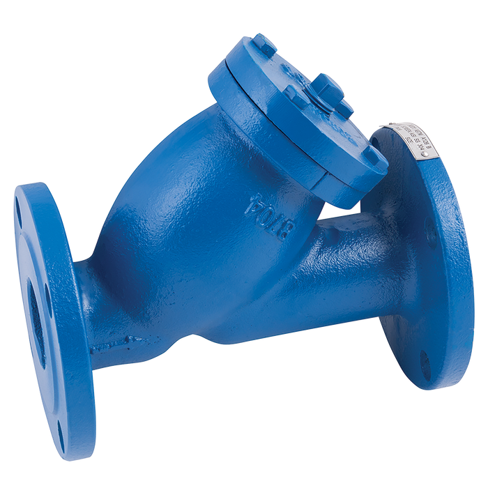 FT Pro - E21 14 6" PN16 CI Y Strainer 1.5MM Mesh - pneumaticsystems