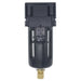 FT Pro - AF3000-02 1/4" BSPP Female Filter - pneumaticsystems