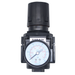 FT Pro - AR5000-10 1" BSPP Female Regulator - pneumaticsystems