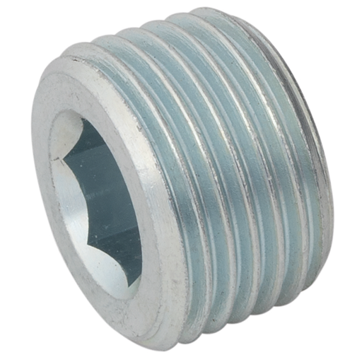 FT Pro - SSAK16 1" BSPT Male Allen Key Plug SS - pneumaticsystems