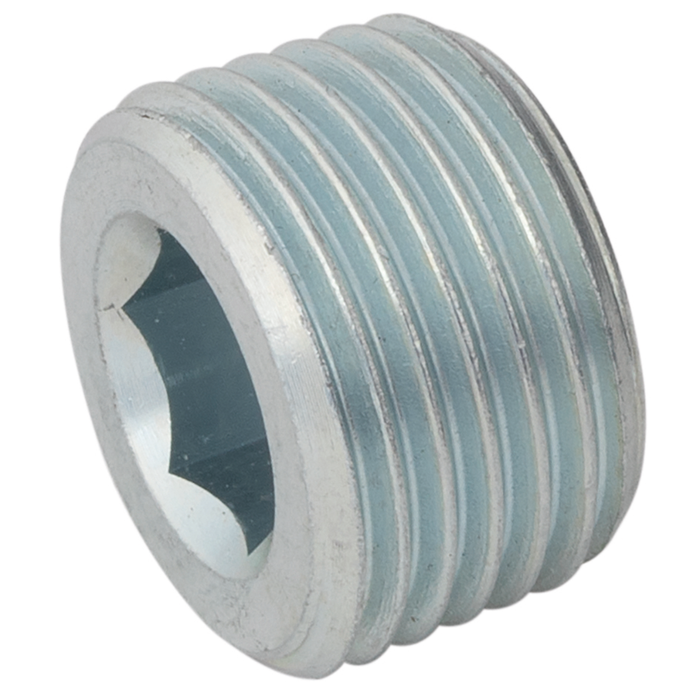 FT Pro - SSAK16 1" BSPT Male Allen Key Plug SS - pneumaticsystems