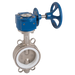 FT Pro - 2014WU 13G 5" Wafer BFLY VVE Ss/Ss/PT+SIL SS Gear - pneumaticsystems