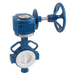 FT Pro - 2014WP 11G 3" Wafer BFLY VVE PTFE Lined Gear - pneumaticsystems