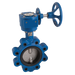 FT Pro - 2014LW 10G 2.1/2" Lug PN16 WRAS BFLY Valve Ss/EP Gear - pneumaticsystems