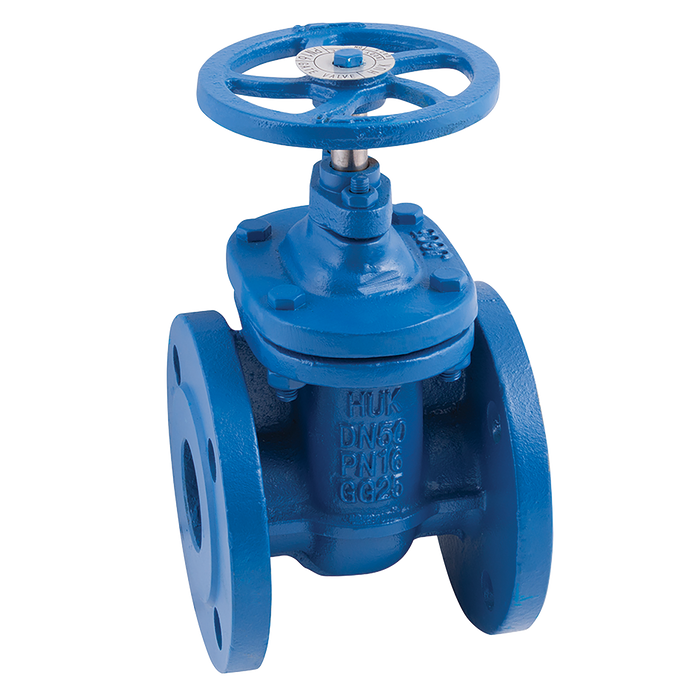 FT Pro - D02 10 2.1/2" PN16 Cast Iron Gate Valve Metal Seat - pneumaticsystems