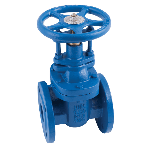 FT Pro - E02 09 2" PN16 BS5150 CI Gate Valve Hand Wheel Op - pneumaticsystems