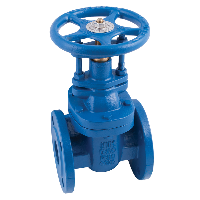 FT Pro - E02 16 2" PN16 BS5150 CI Gate Valve Hand Wheel Op - pneumaticsystems