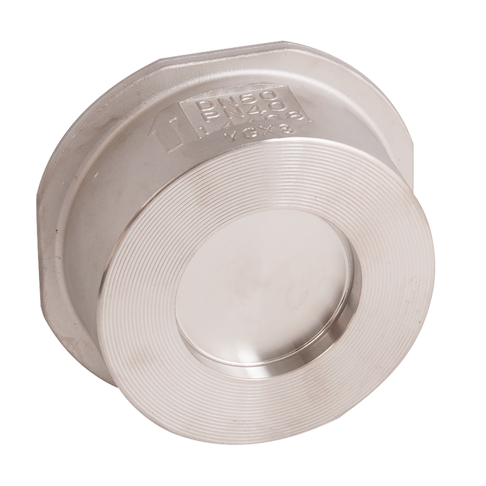 FT Pro - 2026 07 1.1/4" PN16/ASA150 SS Check Valve - pneumaticsystems
