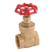 FT Pro - GV12-4 4" BSPP PN16 Brass Gate Valve - pneumaticsystems