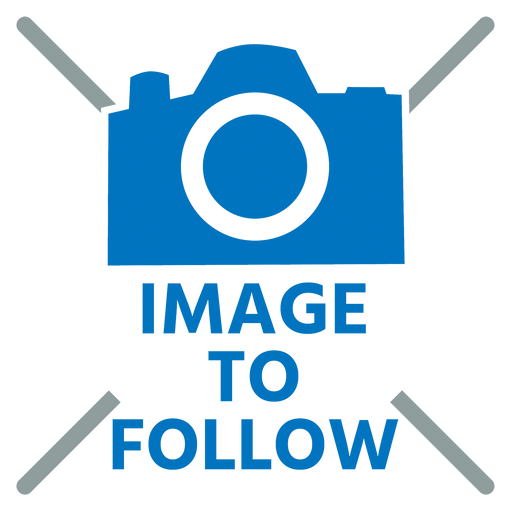 FT Pro - 9001003 Inline Vacuum Filter 30 Mic 200L/Min G1/4" - pneumaticsystems