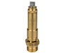 4440326000000000, Safety valve