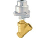 8218400.0000.00000, Brass Angle Seat Valve, G1