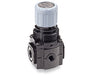 V72G-2AK-NMN, Excelon pressure relief valve, 1/4 PTF, 0.3-10 bar, without gauge