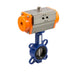 Metalwork - W0900300054 RV-Fluid DN50 Cast Iron Butterfly Valve - pneumaticsystems