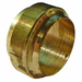 FT Pro - OI02 1/8" OD Universal Olive (34027802) - pneumaticsystems