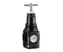 HR84G-6GT-RSG, Excelon Plus pressure regulator for extreme temperature applications, G3/4, 0.7-17 bar, integrated gauge